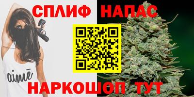 бошки Будённовск