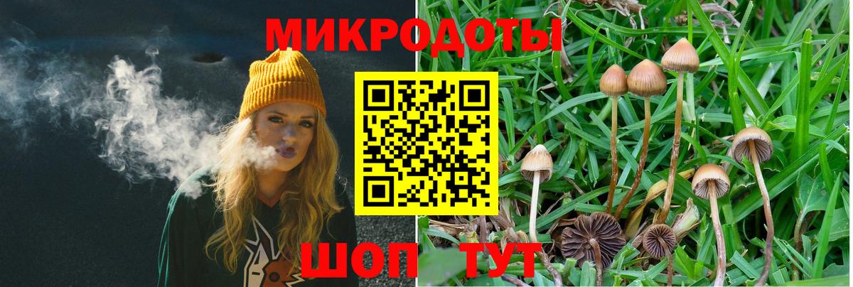 Галлюциногенные грибы Magic Shrooms Котовск