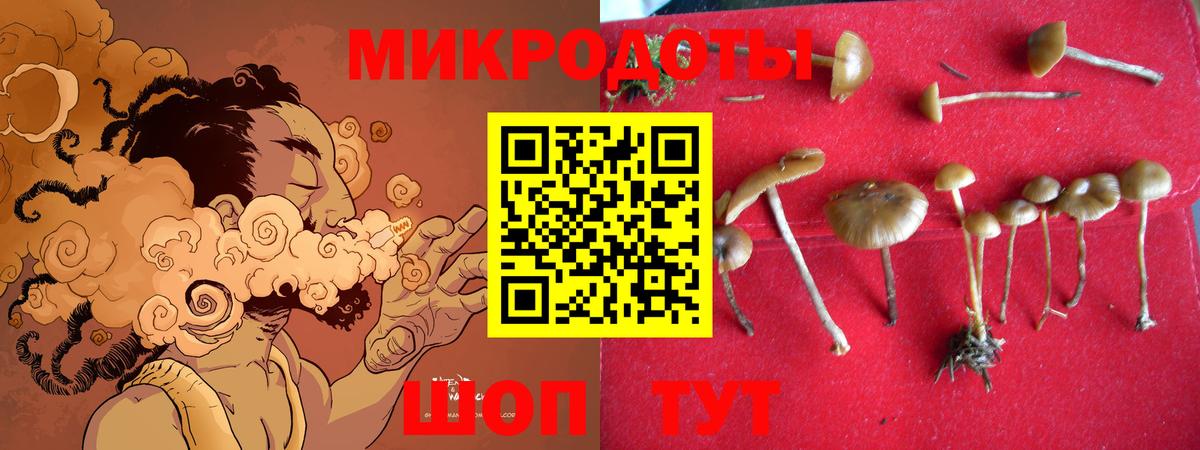 Галлюциногенные грибы ЛСД  Вход с VPN  Котовск  Псилоцибиновые грибы Cubensis 