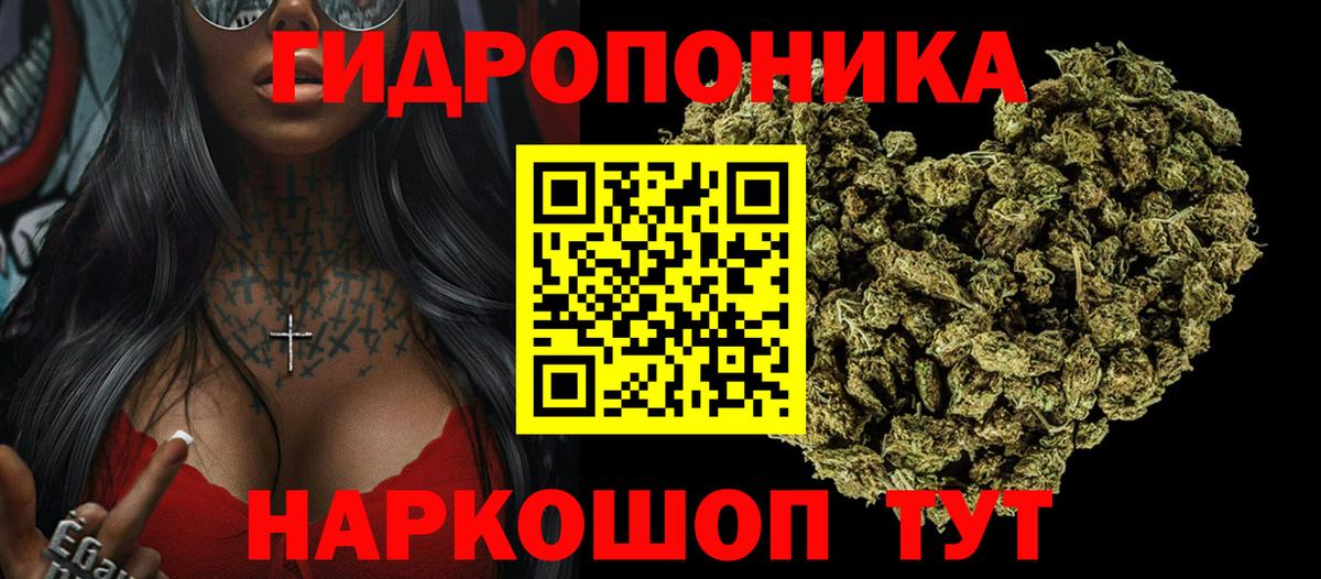 Котовск  Бошки марихуана AK-47  Конопля VHQ  Канабис Amnesia  Вход с VPN  Каннабис Amnesia 